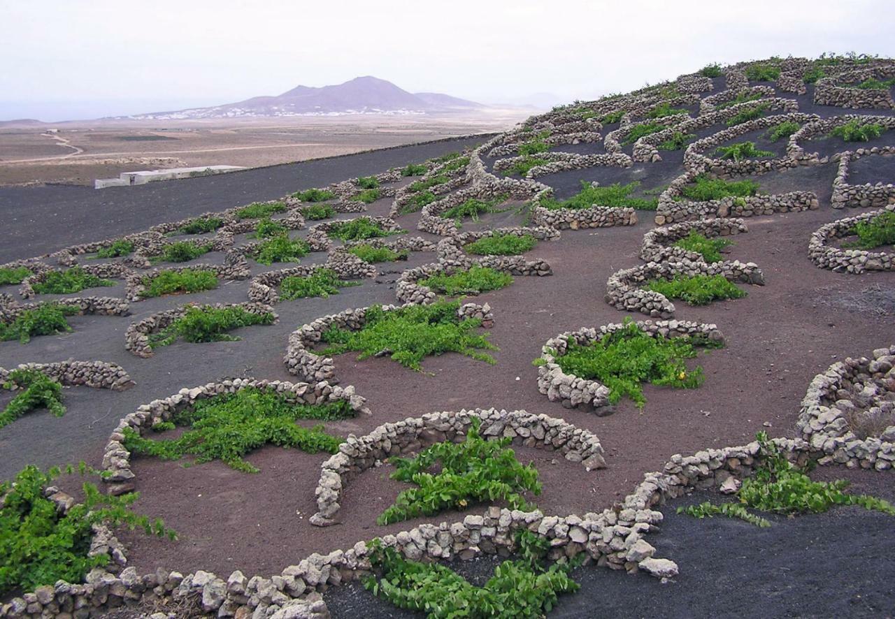 Casa El Gallo Teguise (Lanzarote) Exterior foto